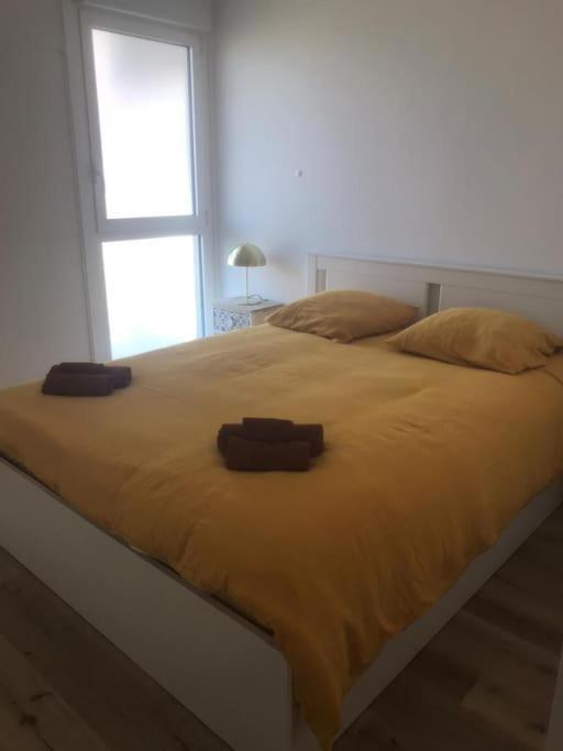 Superbe Appartement Arcachon Ла-Тест-де-Бюш Екстер'єр фото